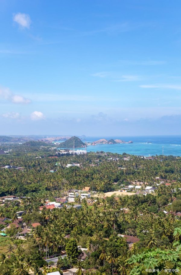 配资门户网官方平台 跨境电商与物流“双向奔赴”！中国和东南亚的贸易新速度太惊艳